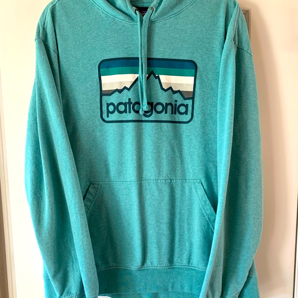 Patagonia hooded sweatshirt